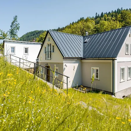 In Bohemia With Sauna Villa *