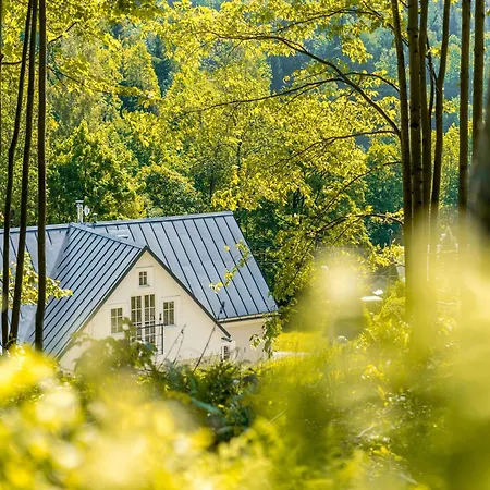 Villa In Bohemia With Sauna